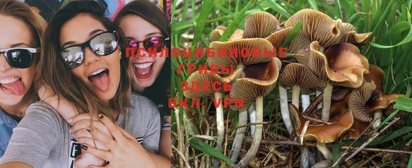 прущий лед Ростов