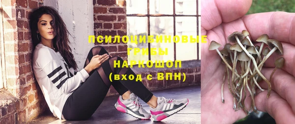 дживик Рославль