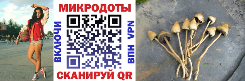 Галлюциногенные грибы мицелий  Купить  Нижний Тагил 